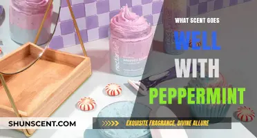Peppermint Pairings: Discover Scents That Perfectly Complement Its Fresh Aroma