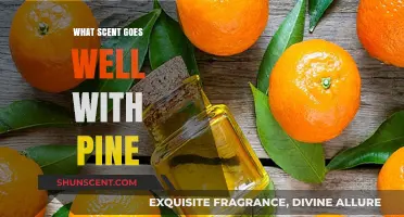 Pine Pairings: Discover Scents That Complement Pine's Fresh, Woody Aroma