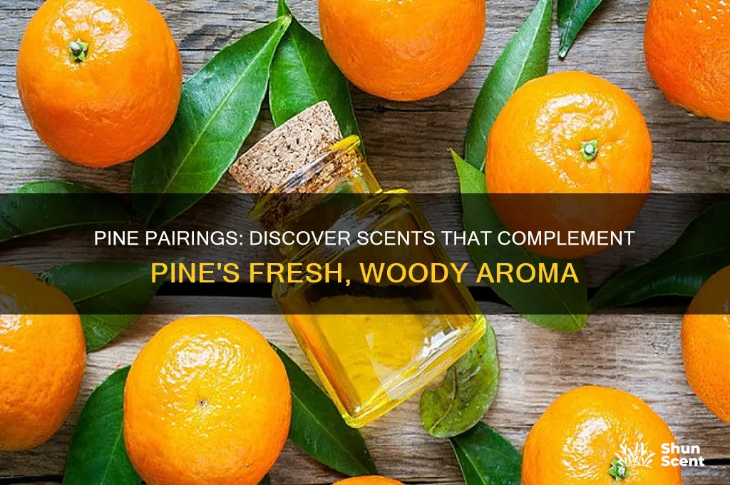 what scent goes well with pine