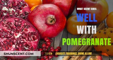 Pomegranate Pairings: Discover Scents That Complement Its Rich, Fruity Aroma