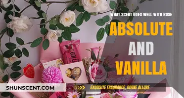 Blending Rose Absolute and Vanilla: Perfect Scent Pairings for Harmony