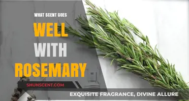 Rosemary's Perfect Pairings: Discover Scents That Complement Its Aromatic Charm