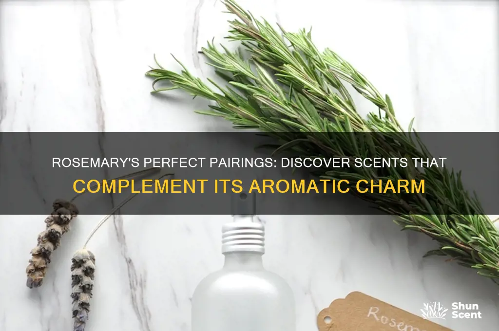 what scent goes well with rosemary