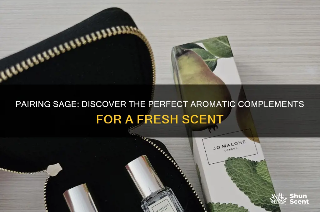 what scent goes well with sage