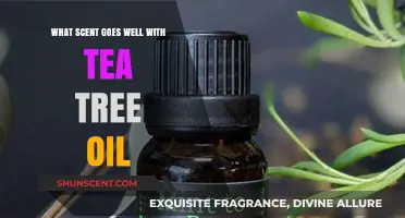 Enhance Your Aromatherapy: Best Scents to Blend with Tea Tree Oil