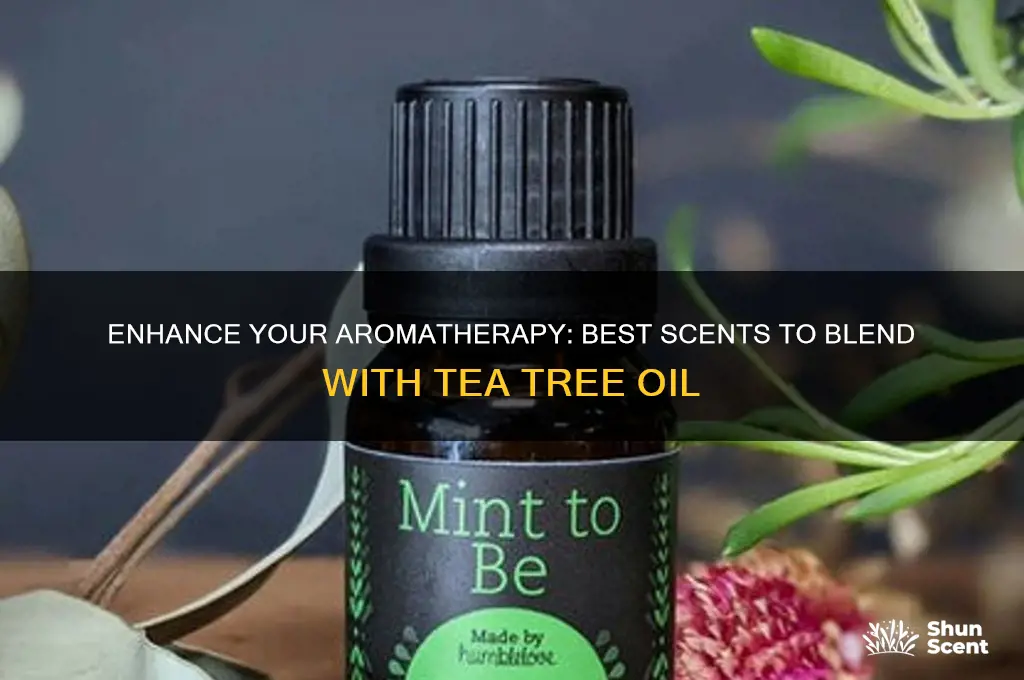 what scent goes well with tea tree oil