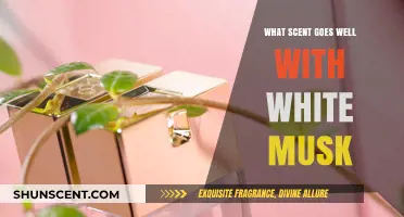 Enhance Your White Musk: Top Scents to Pair for a Perfect Blend