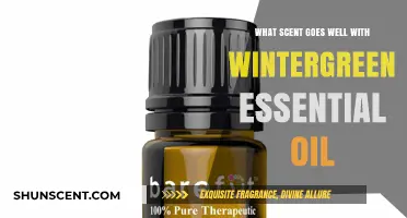 Wintergreen Essential Oil Blends: Discover Perfect Aromatic Pairings for Winter