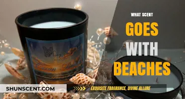 Ocean Breeze Essentials: Perfect Scents to Capture Beach Vibes