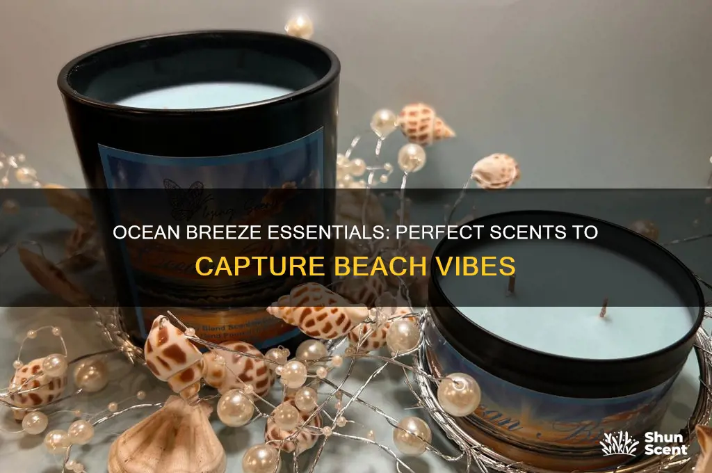 what scent goes with beaches