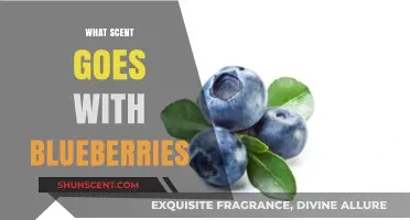 Blueberry Bliss: Perfect Scents to Complement the Sweet Berry Aroma