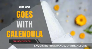 Calendula's Perfect Pairings: Discover the Best Scents to Complement Its Floral Notes