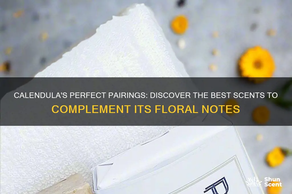 what scent goes with calendula