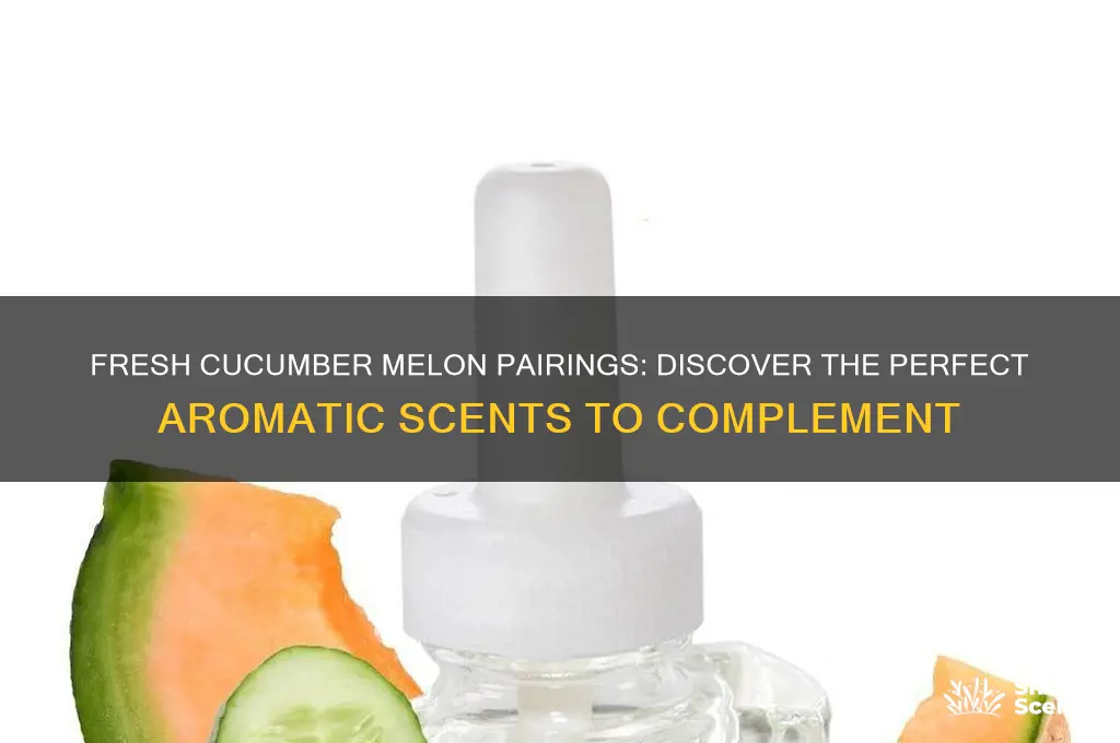 what scent goes with cucumber melon