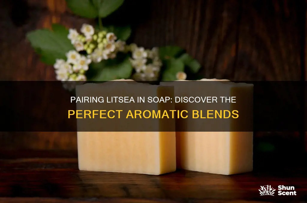 what scent goes with litsea in soap