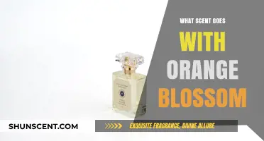Pairing Perfumes: Ideal Scents to Complement Orange Blossom's Fresh Aroma