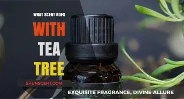 Tea Tree's Perfect Pair: Discover the Best Aromatic Blends