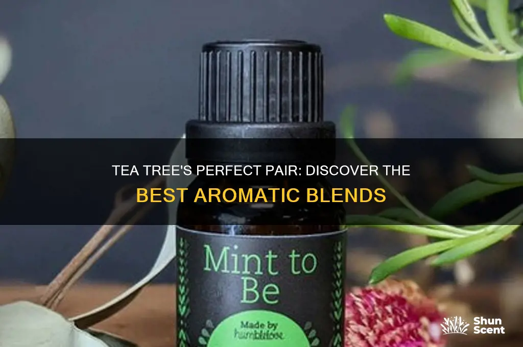 what scent goes with tea tree