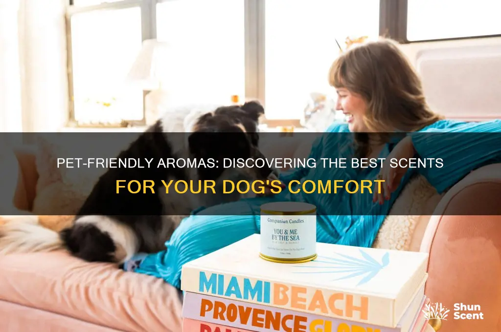 what scent good for dogs