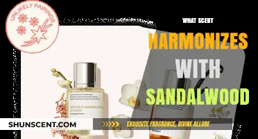 Sandalwood's Perfect Pairings: Discover Scents That Enhance Its Warmth and Depth