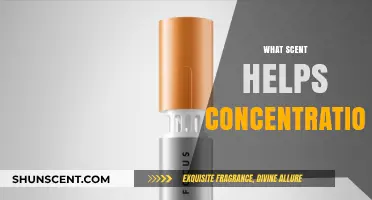 Boost Focus Naturally: Scents Proven to Enhance Concentration and Productivity