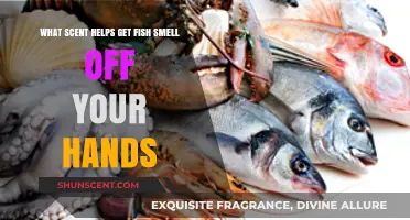 Eliminate Fishy Odors: Best Scents to Freshen Your Hands Fast