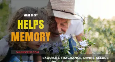 Scents and Memory: How Aromas Unlock Forgotten Moments and Enhance Recall