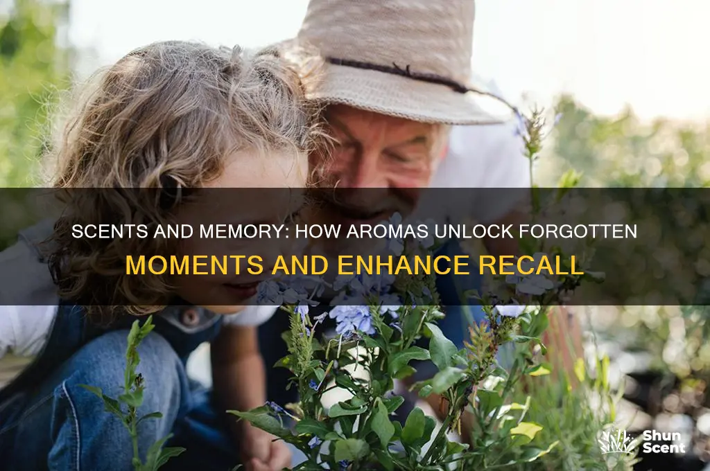 what scent helps memory
