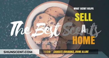 Scents That Sell: How Aromas Can Boost Your Home’s Appeal