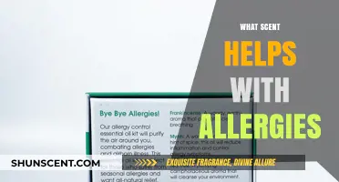 Discover the Best Aromatic Scents to Relieve Allergy Symptoms Naturally