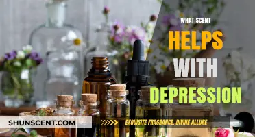 Aromatherapy for Depression: Scents to Lift Your Mood and Spirit