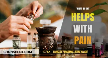 Aromatherapy for Pain Relief: Discover the Soothing Scents That Help