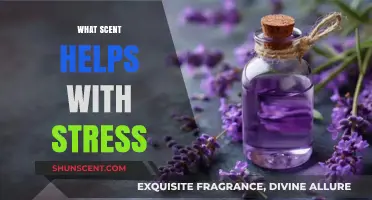 Aromatherapy Secrets: Scents to Calm Stress and Soothe Your Mind