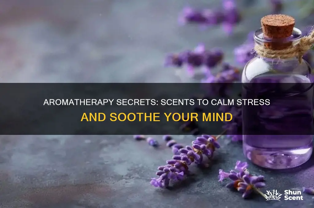 what scent helps with stress