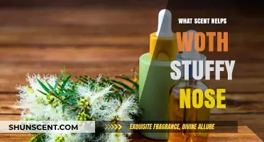 Clear Your Stuffy Nose: Best Aromatherapy Scents for Relief