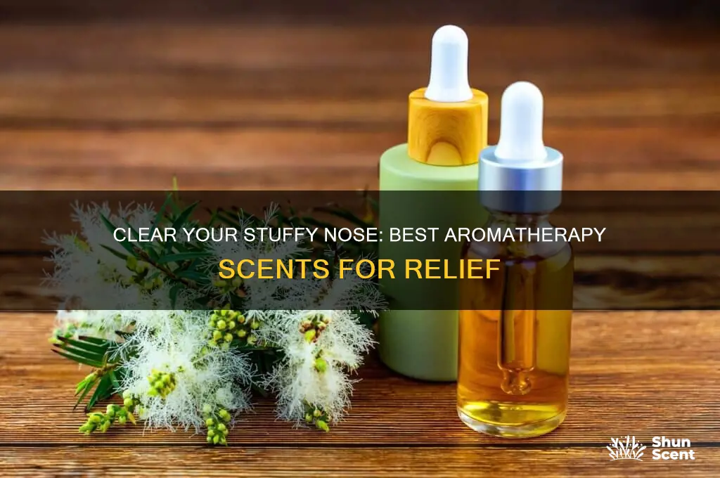 what scent helps woth stuffy nose