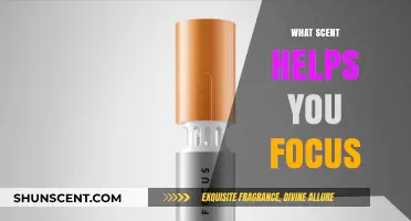 Boost Your Concentration: Discover the Best Scents for Focus and Productivity