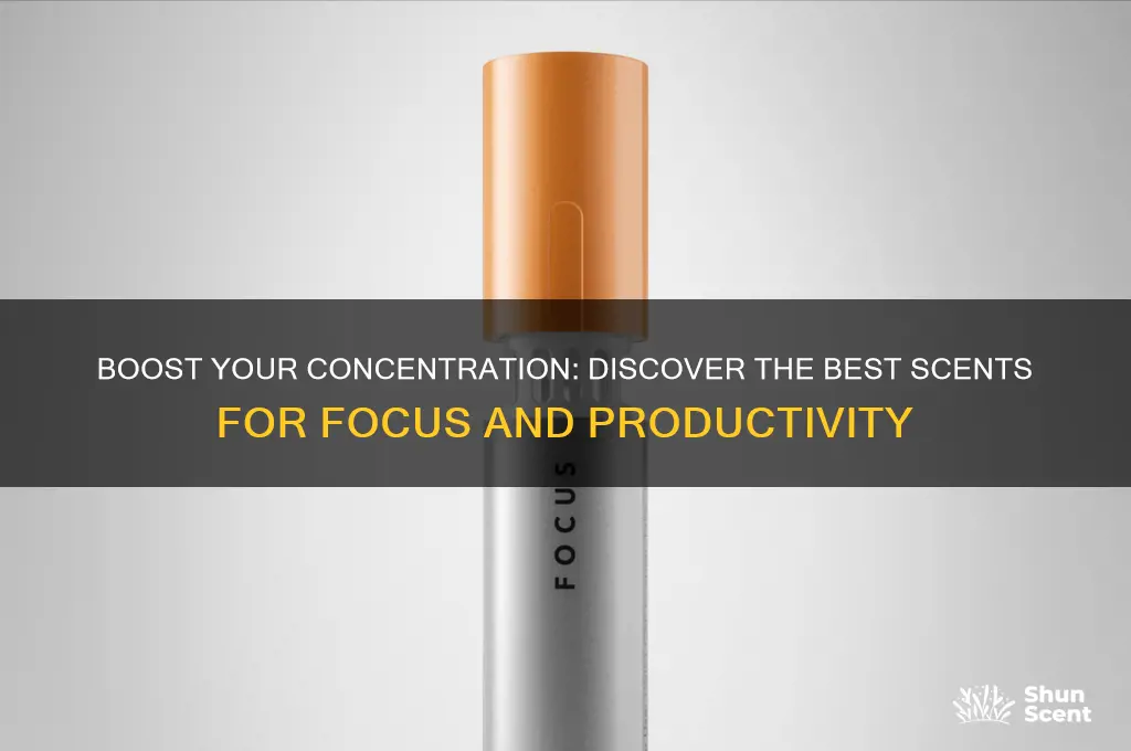 what scent helps you focus