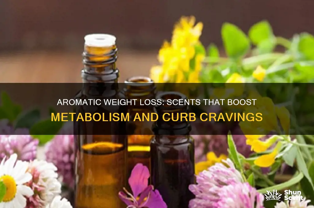 what scent helps you lose weight
