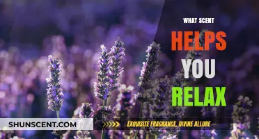 Unwind Naturally: Discover the Soothing Scents That Promote Relaxation