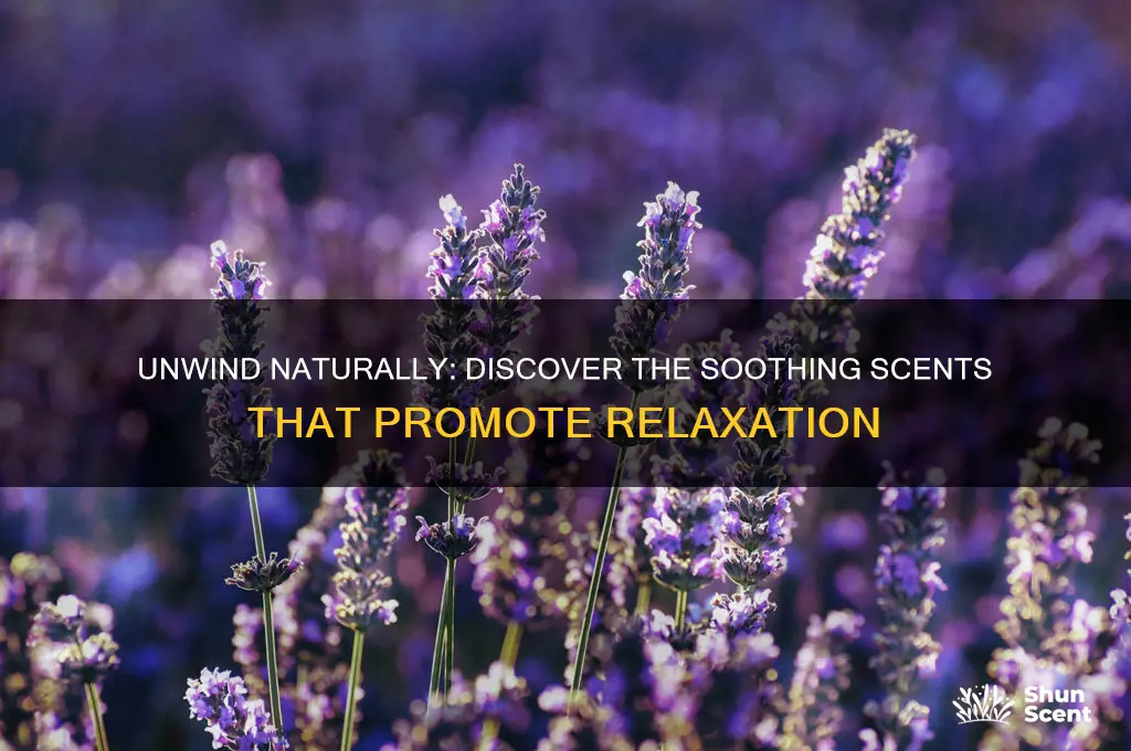 what scent helps you relax
