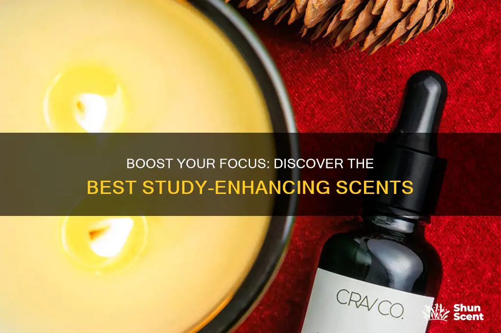 what scent helps you study