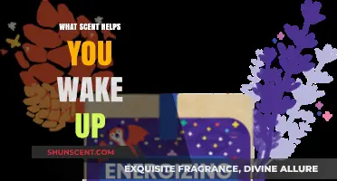 Energizing Aromas: Scents to Kickstart Your Morning and Boost Alertness