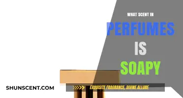 Discovering Soapy Notes: Perfumes with Clean, Fresh Aromas