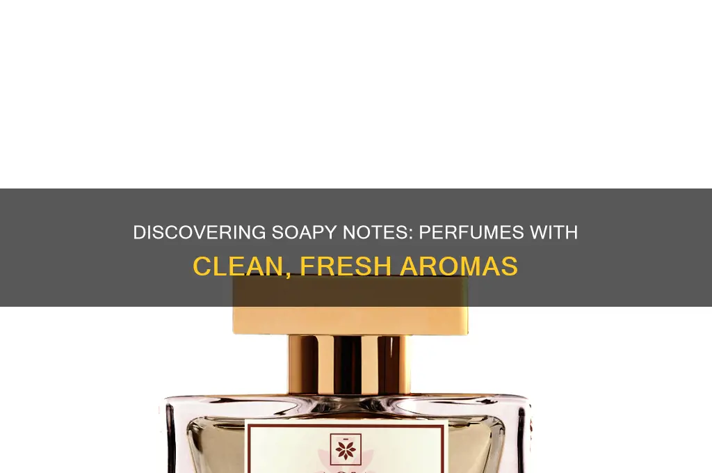 what scent in perfumes is soapy
