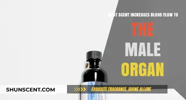 Enhance Intimacy: Scents Proven to Boost Male Organ Blood Flow