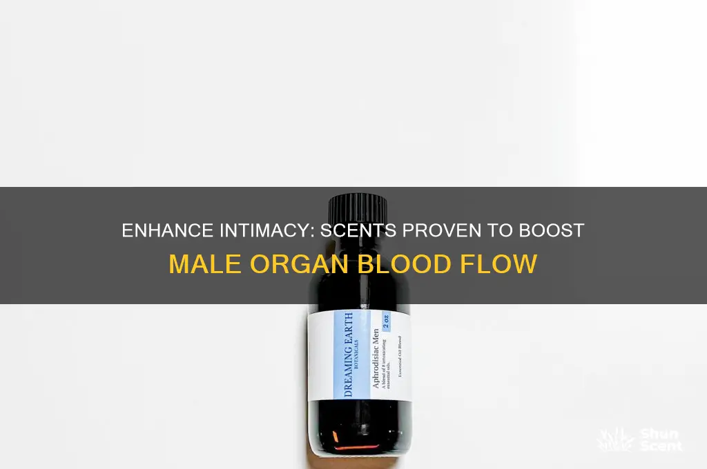 what scent increases blood flow to the male organ