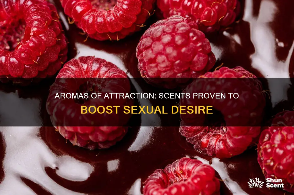 what scent increases sexual desire