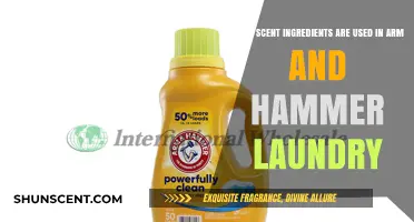 Arm & Hammer Laundry Scents: Key Ingredients for Freshness