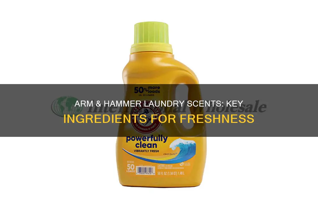 what scent ingredients are used in arm and hammer laundry